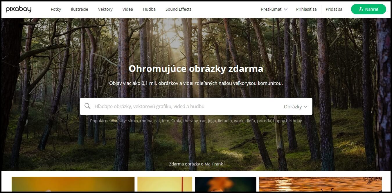 Najlepšie bezplatné fotobanky a obrázky pre váš web 4 pixabay